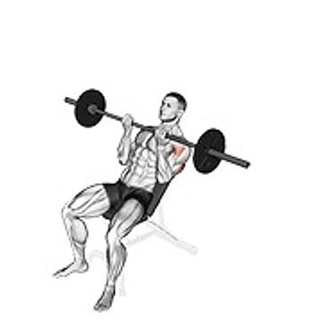 Barbell Incline Reverse Grip Press