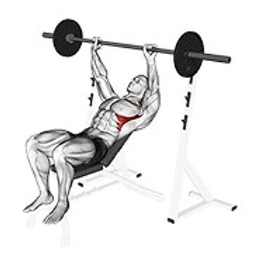 Barbell Incline Shoulder Raise