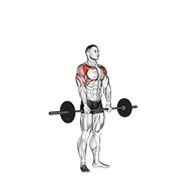 Barbell Standing Front Raise Over Head