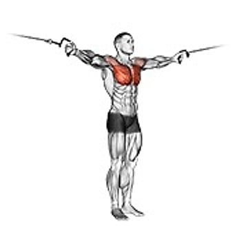 Cable Cross Over Variation