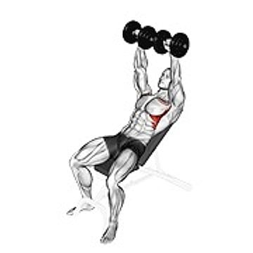 Dumbbell Incline Shoulder Raise