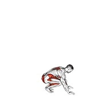 Jack Burpee