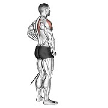Band Front Lateral Raise