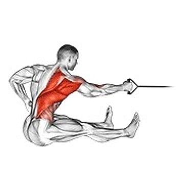 Band One Arm Twisting Seated Row