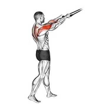 Band Standing Rear Delt Row