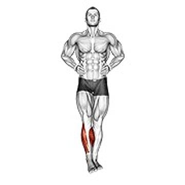 Ankle Circles