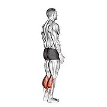 Bodyweight Standing Calf Raise