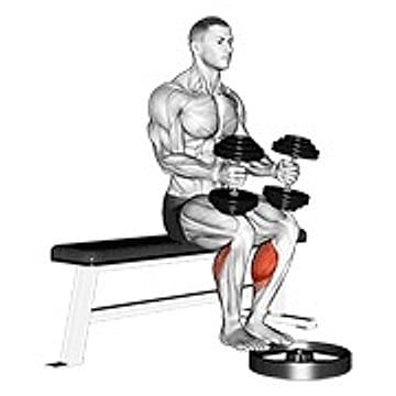 Dumbbell Seated Calf Raise