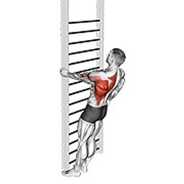 Bodyweight Standing Close Grip One Arm Row